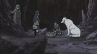 Shino, Hinata, Kiba, and Akamaru (Image via Studio Pierrot)